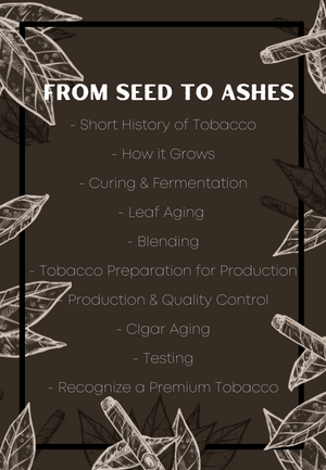 
                  
                    FROM SEED TO ASHES
                  
                